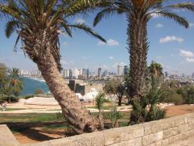 Отдых в Израиле - Нетания